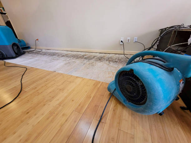 Professional Basement Flood Cleanup technician working in Hallsville, TX